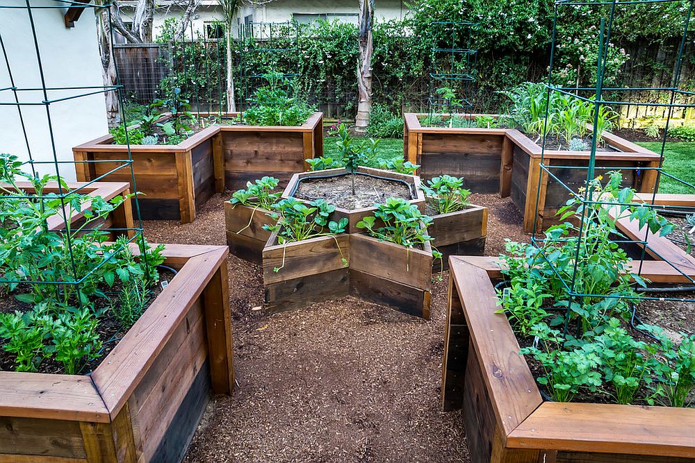 Creating-the-perfect-space-for-the-raised-bed-vegetable-garden
