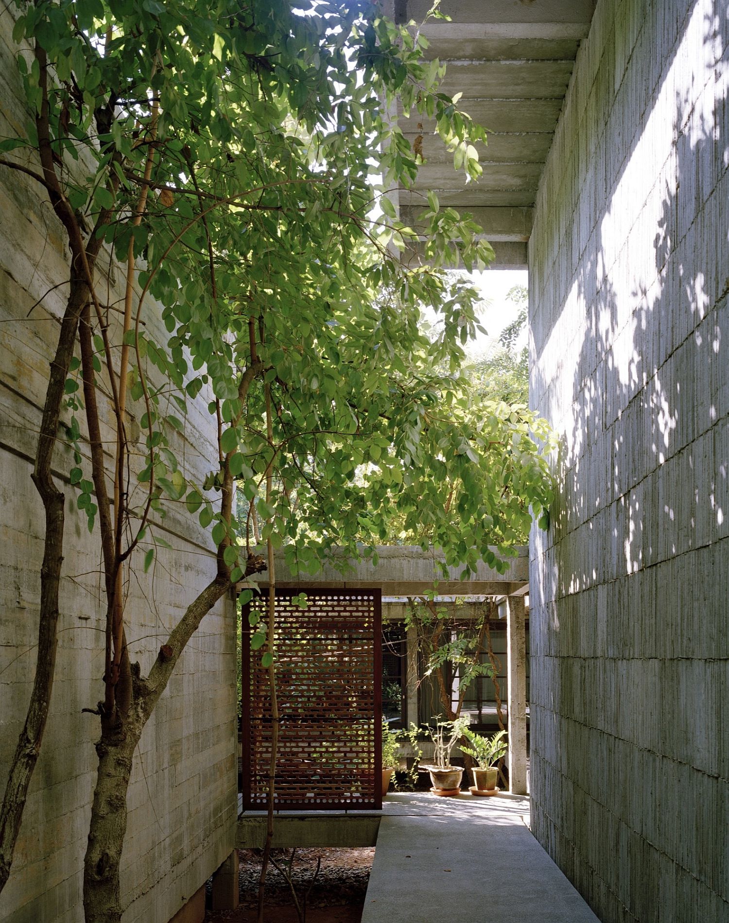 Entrance and a series of courtyards filled with greenery add to the appeal of the house
