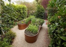 Lovely-bronze-water-trough-beds-used-for-a-smart-edible-garden-217x155