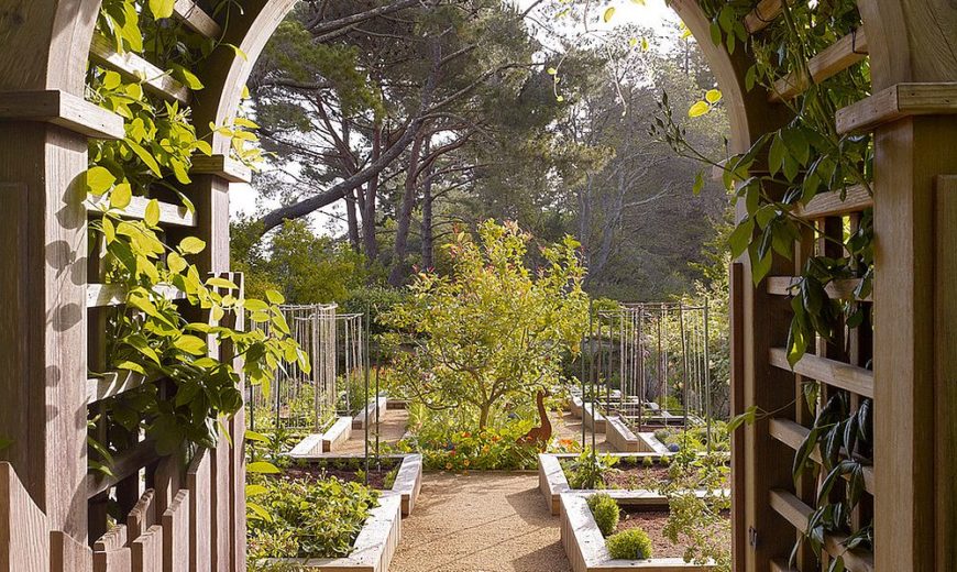 Organic and Healthy: Giving Your Home the Edible Garden Advantage