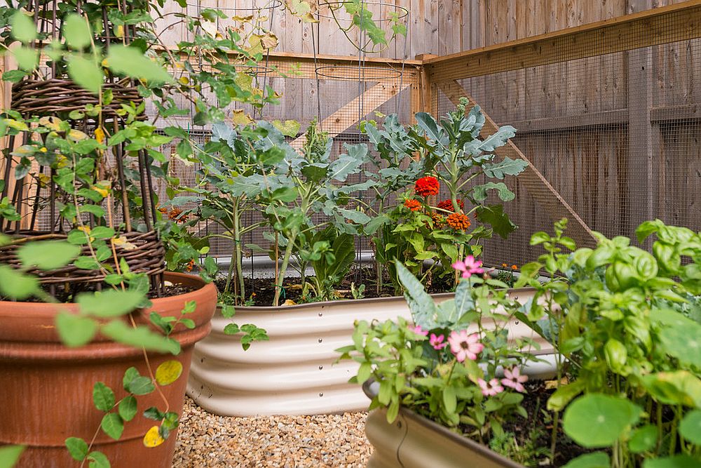 Metallic containers for the small edible garden with flowers and vegetable plants