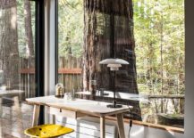 Beautiful-work-area-of-the-cabin-with-forest-view-outside-217x155