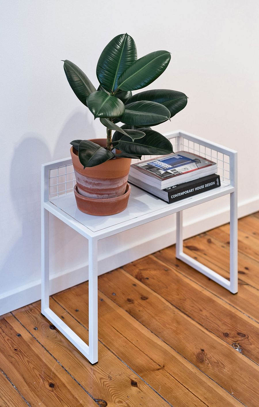 Unassuming and minimal stand for both plants and books