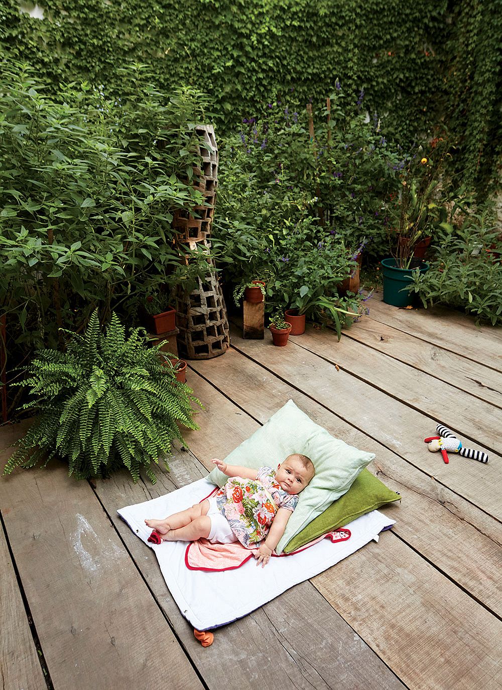 Wooden deck with greenery all around