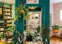 Classic-Brazilian-cafe-combined-with-plants-store-Borealis-in-downtown-store-217x155