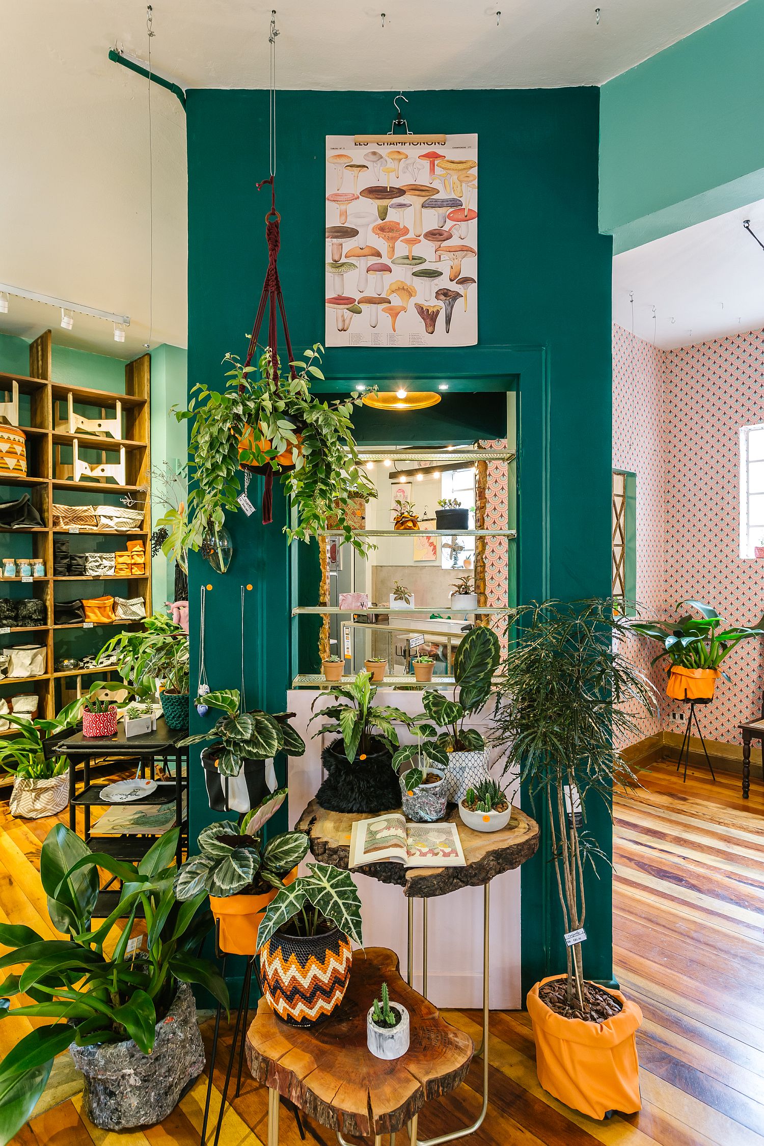 Classic Brazilian cafe combined with plants store Borealis in downtown store