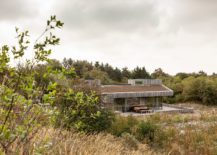 View-of-the-eco-freindly-and-sensible-DutchHoliday-House-between-the-dunes-and-the-beach-217x155
