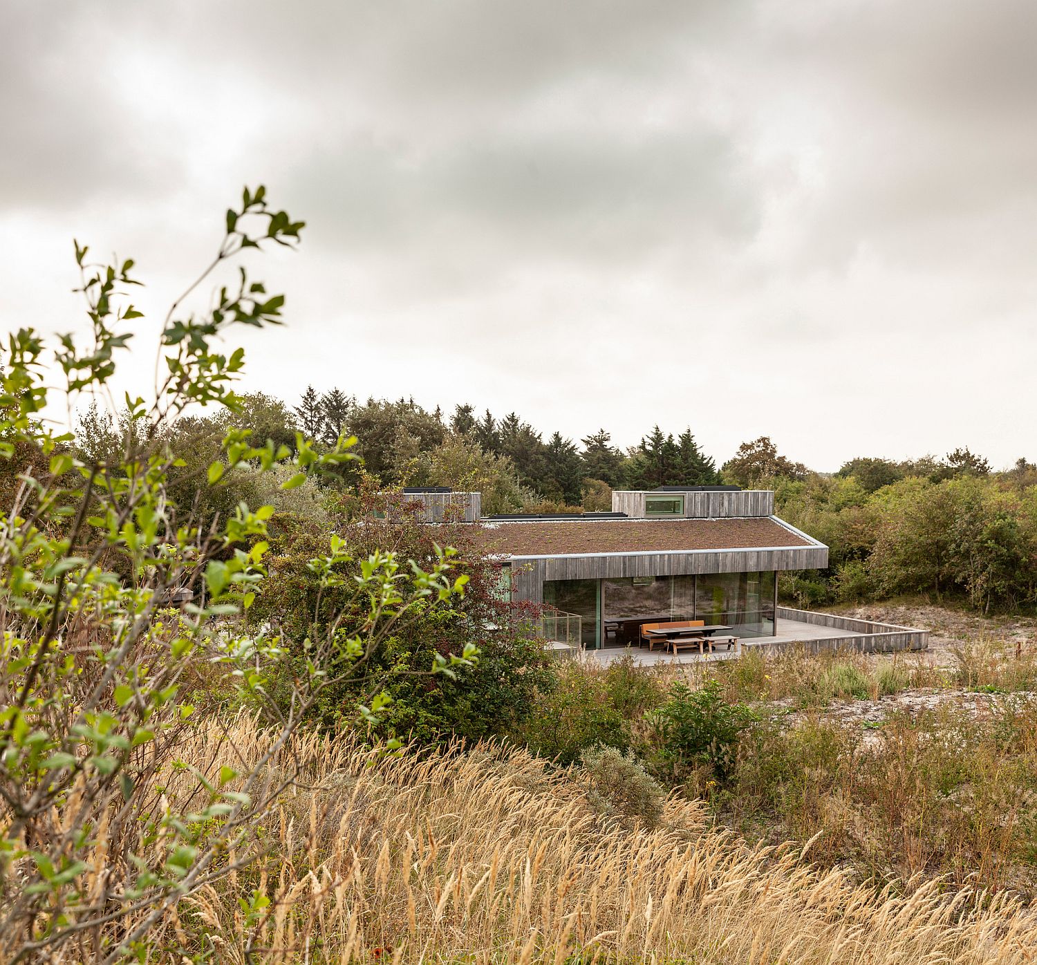 View of the eco-freindly and sensible DutchHoliday House between the dunes and the beach