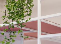 Hanging-plants-bring-greenery-into-an-apartment-filled-with-white-and-pops-if-light-pink-217x155