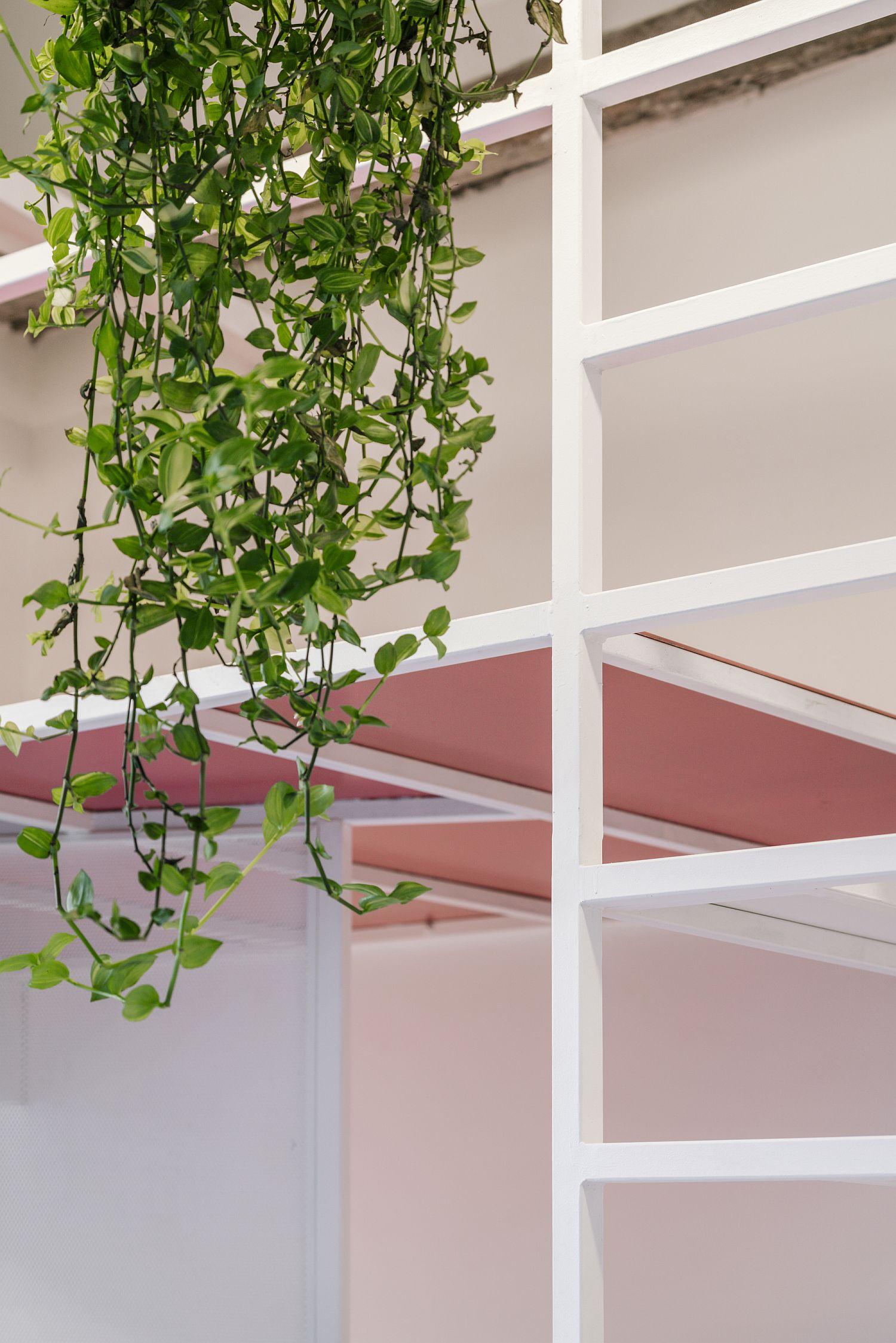 Hanging-plants-bring-greenery-into-an-apartment-filled-with-white-and-pops-if-light-pink