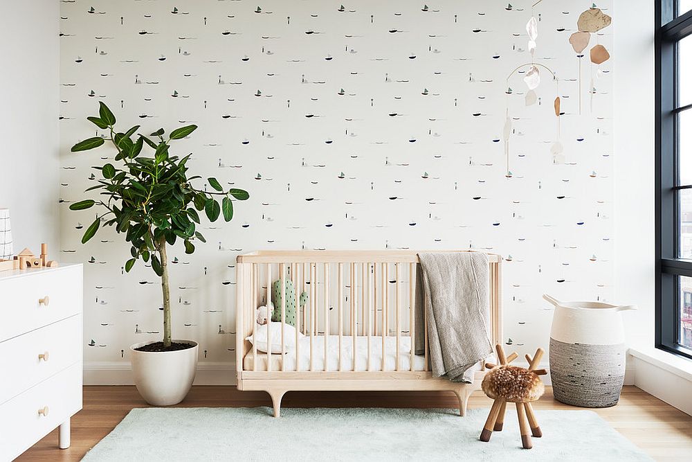 Neutral backdrop highlights the indoor plant beautifully