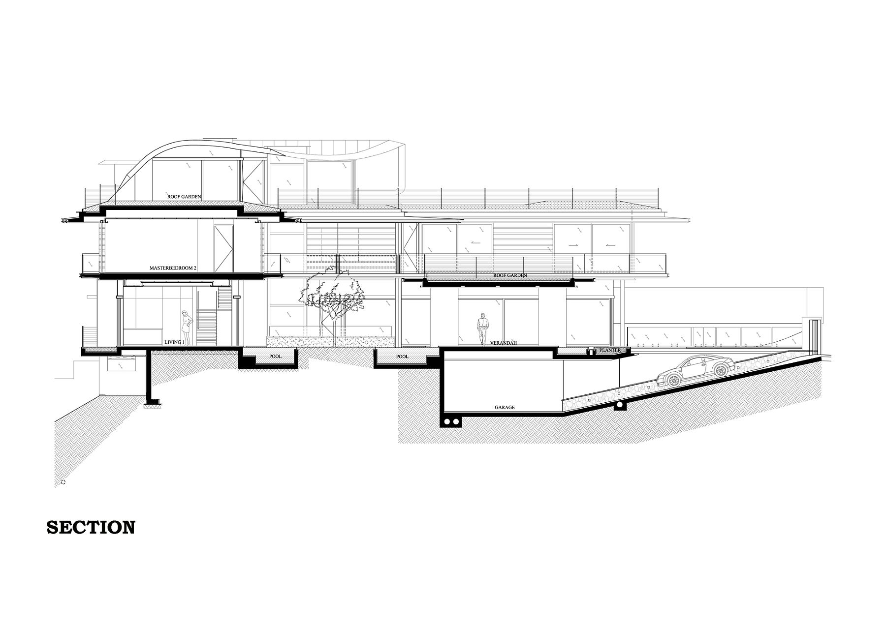 Sectional view of the Ficus House