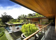 Series-of-roof-gardens-and-ponds-around-the-Ficus-House-217x155