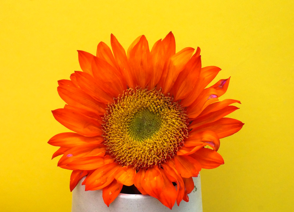 Tabletop decor can be sunny rather than spooky