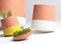 Terracotta-planters-from-Crowdyhouse-217x155