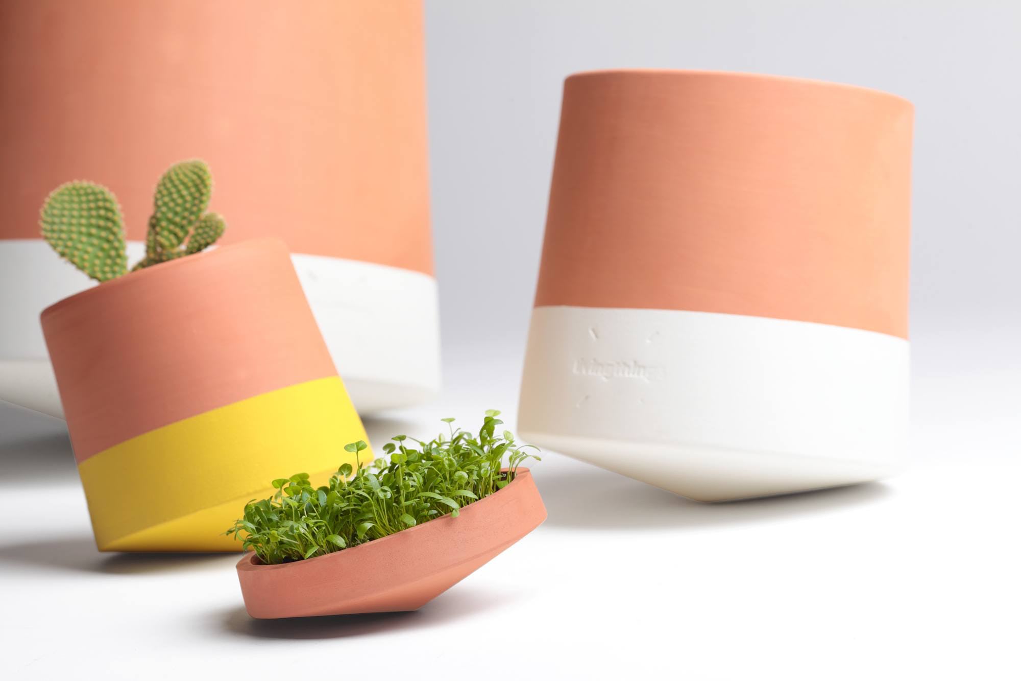 Terracotta planters from Crowdyhouse