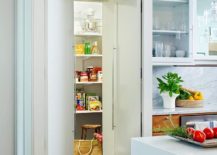 White-pantry-doors-make-sure-it-blends-in-with-the-backdrop-217x155