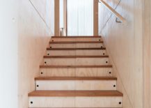 Wooden-steps-connecting-different-floors-of-the-bushland-home-217x155