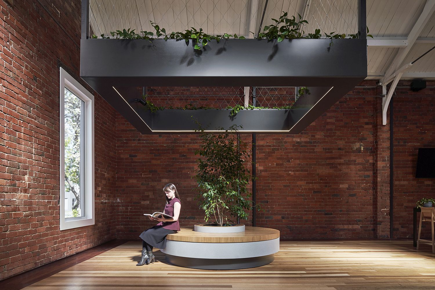 Custom giant planter in black floating above the living area