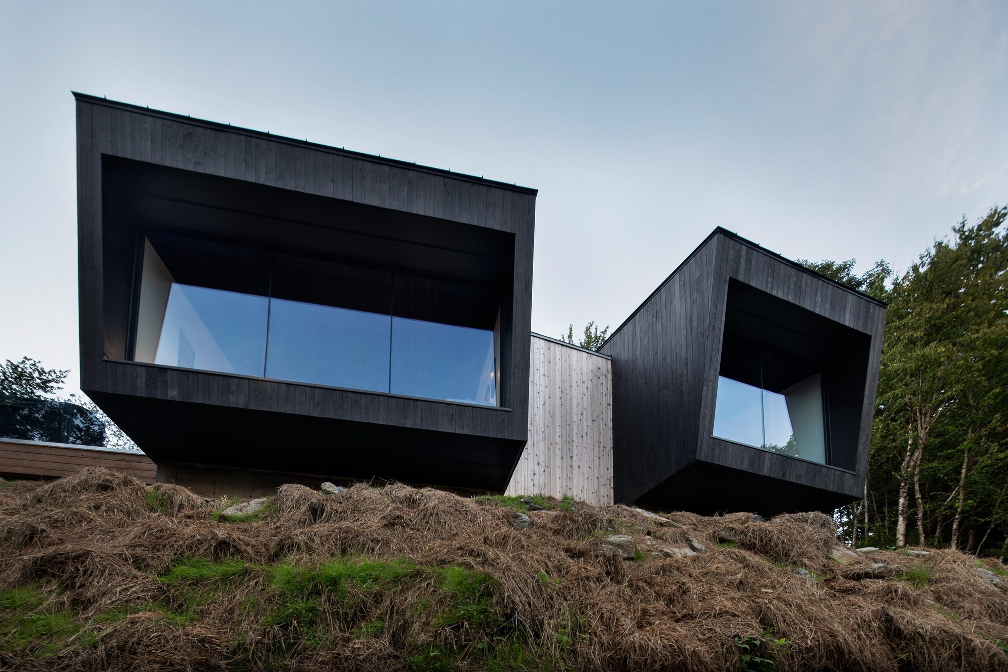 Large wooden windows bring the forest outside inside the cabin