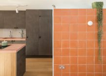 Pink-orange-and-natural-light-bring-ample-brightness-to-the-interior-217x155