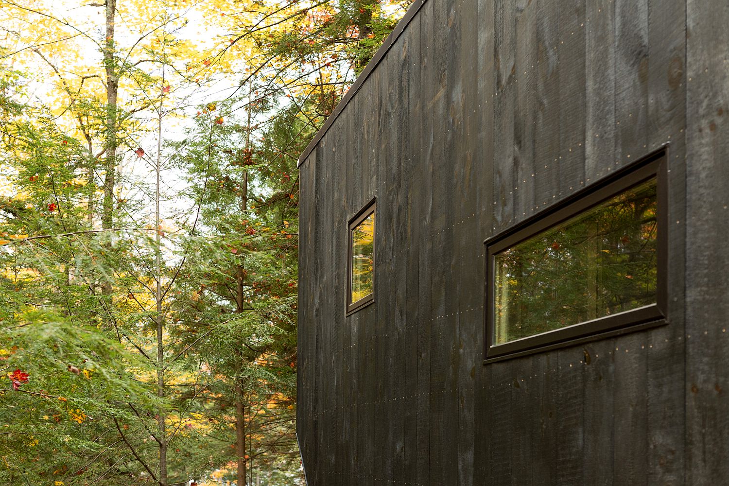 Rugged-and-dark-exterior-of-the-cabin