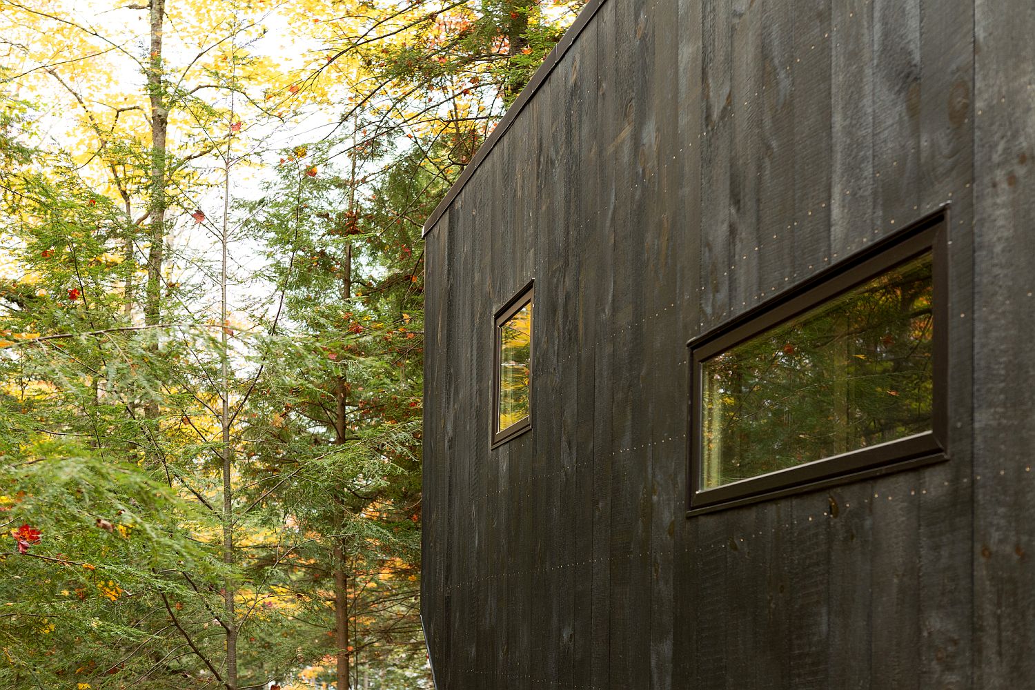 Rugged and dark exterior of the cabin