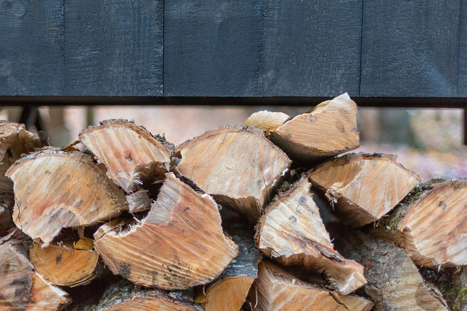 Stacked firewood inside the lovely little cabin in New Hampshire