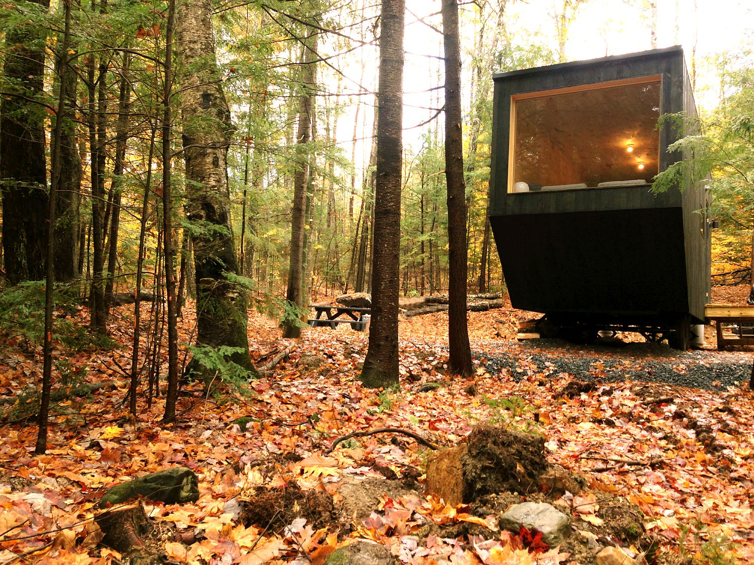 Tiny cabin in the woods with a black exterior and space-savvy design