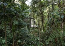 Natural-canopy-hides-the-cabin-ever-so-beautifully-217x155