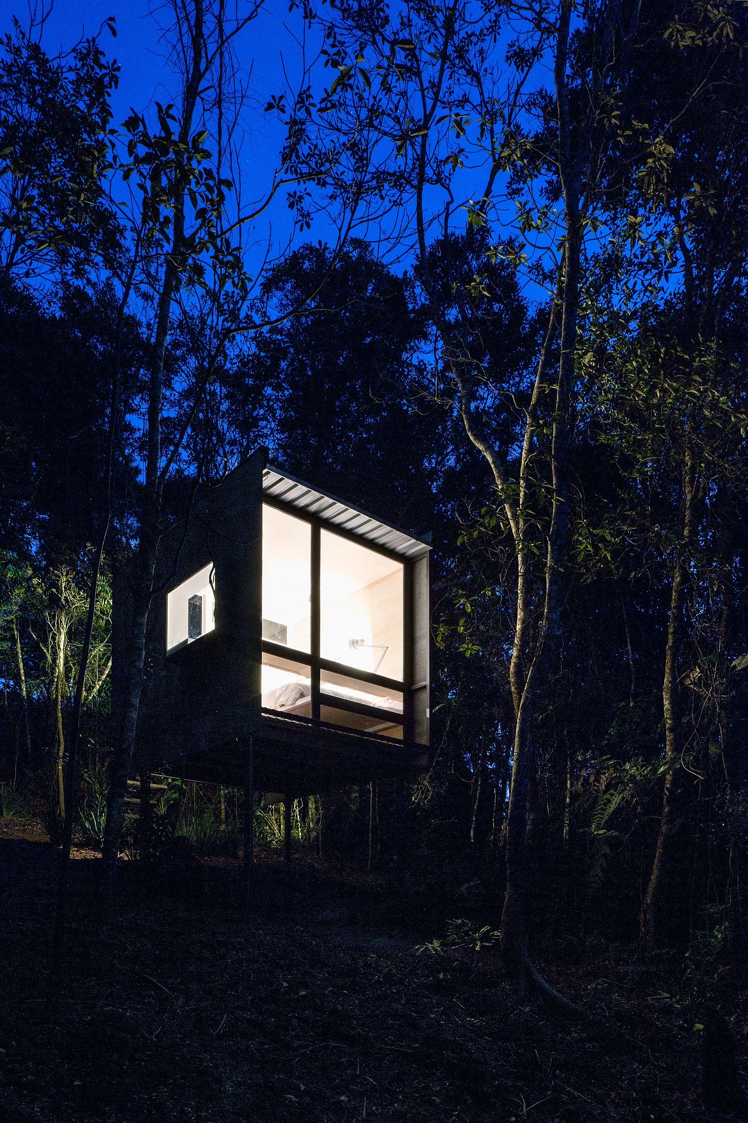 Natural landscape around the woodsy cabin takes over