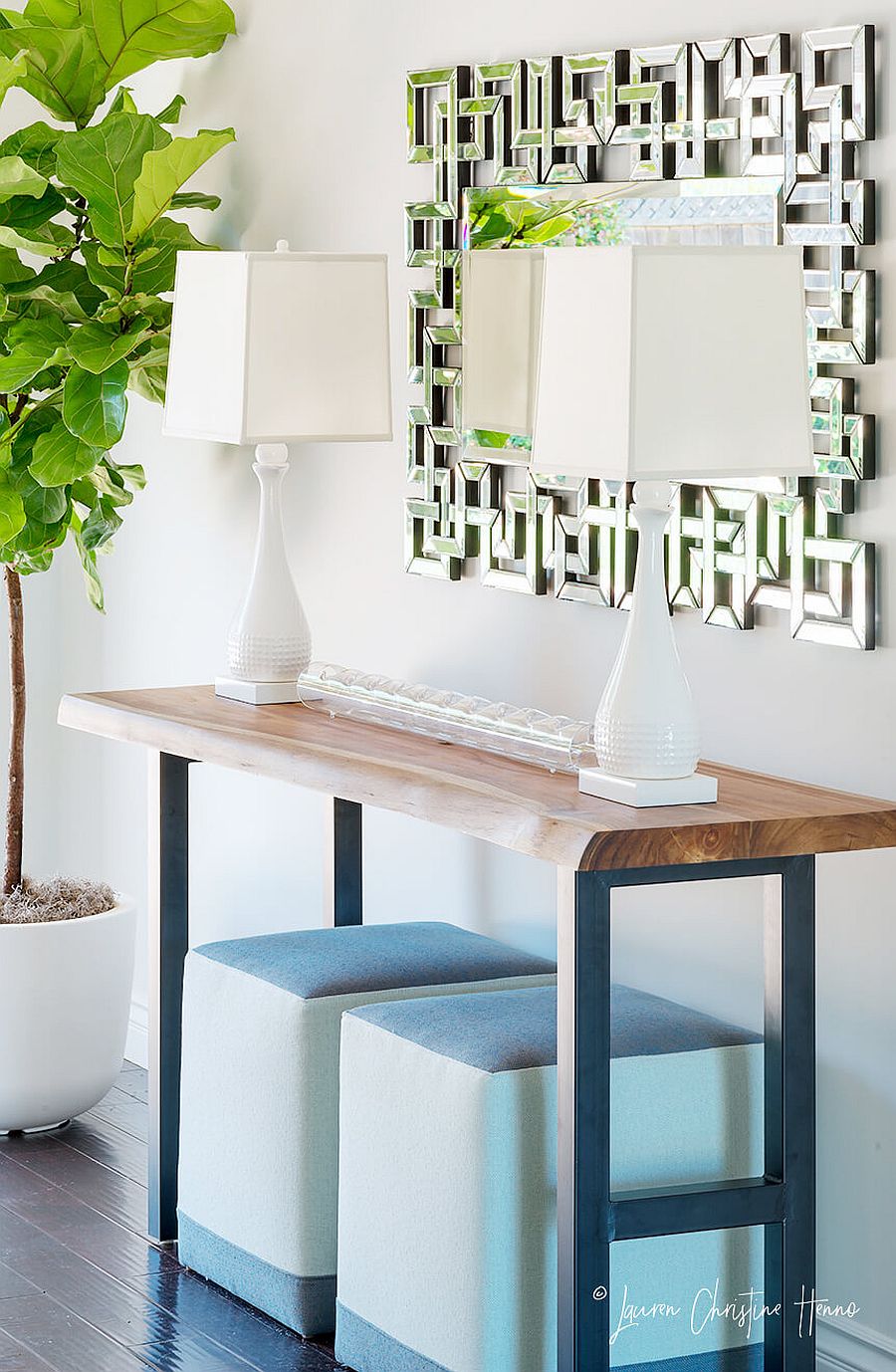 Entry with console table and twin table lamps along with lush green plant next to it