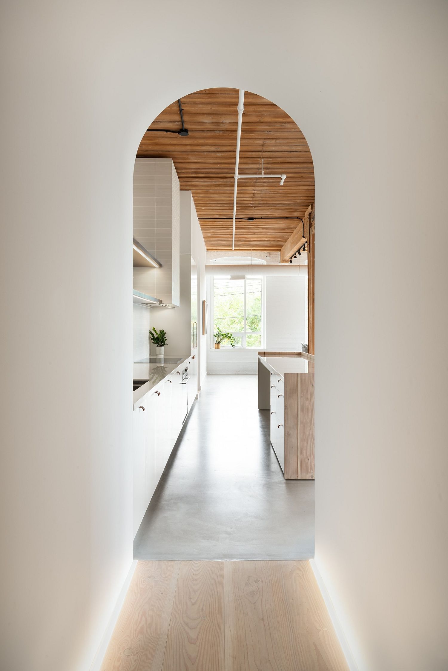 Arched ways with gorgeous LED lighting lead from one space to another