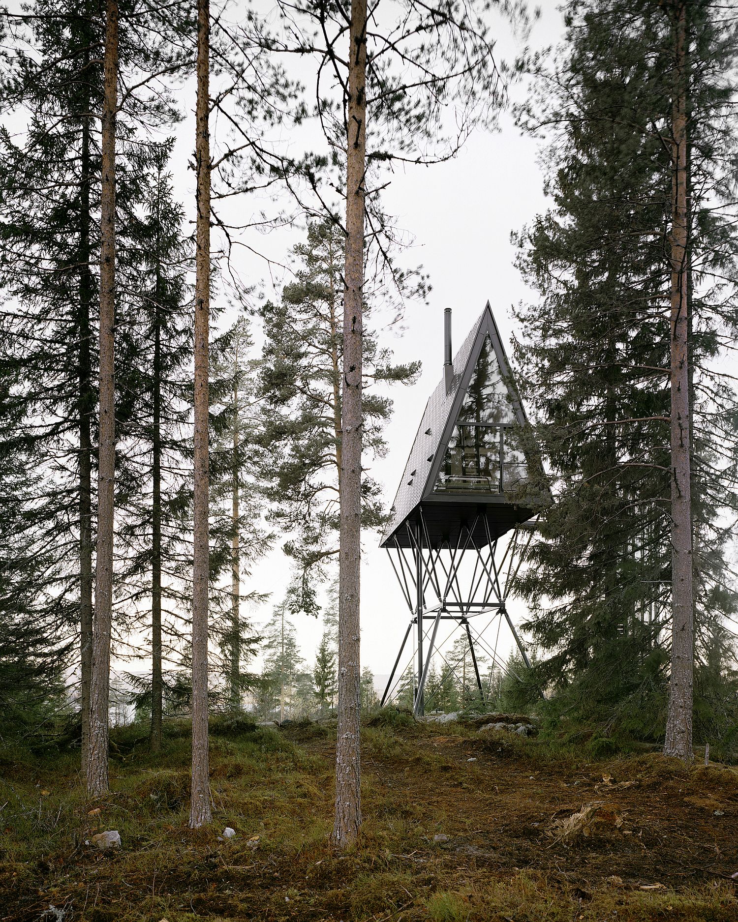 Beautiful forest of Finnskogen surrounds the cabin on stilts