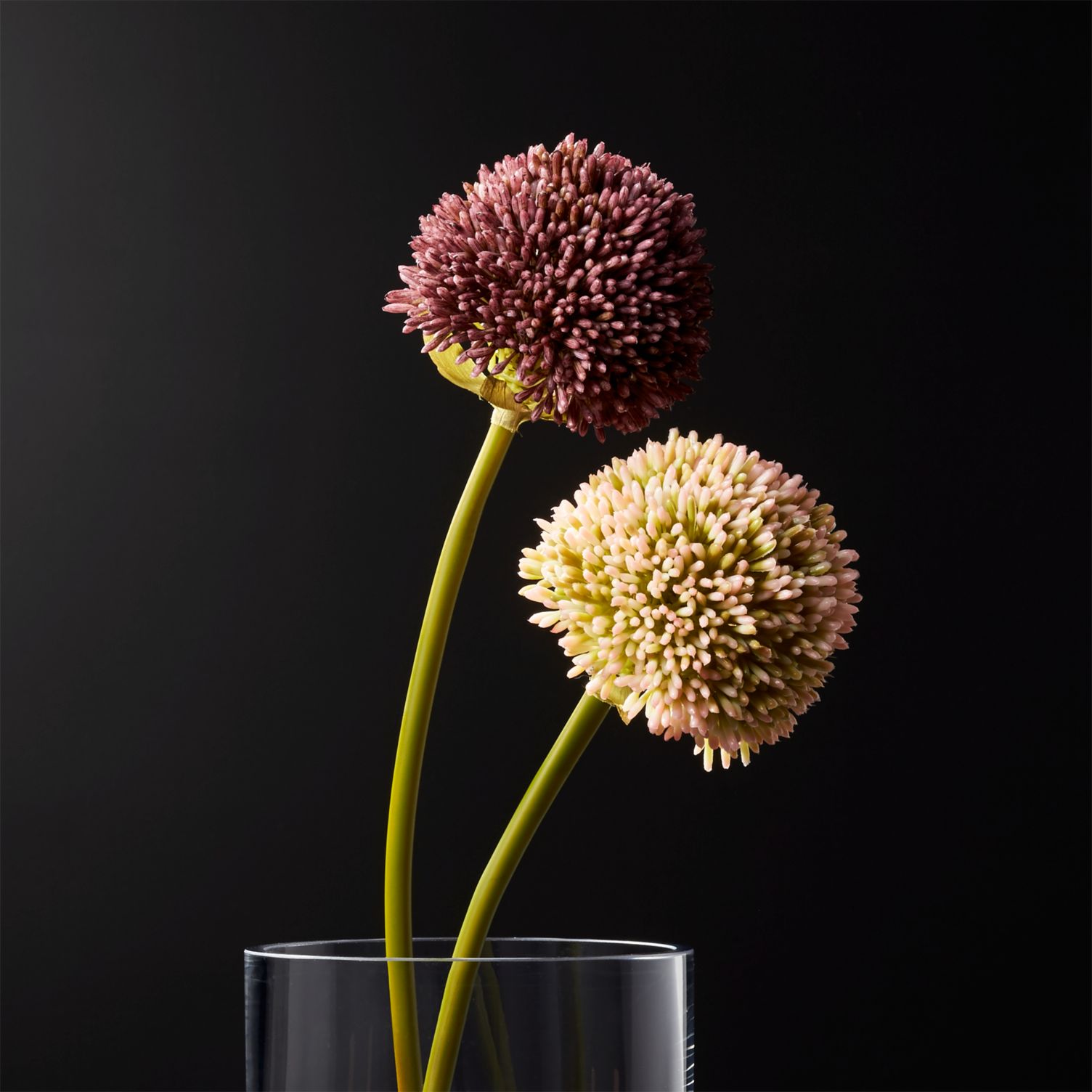 Faux allium stems