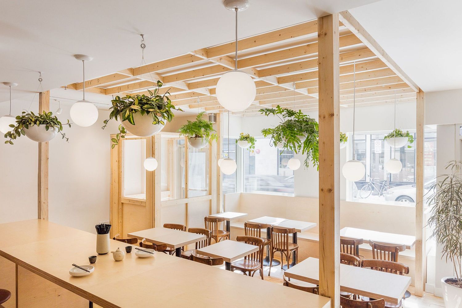 Hanging plants add greenery to the cafe interior