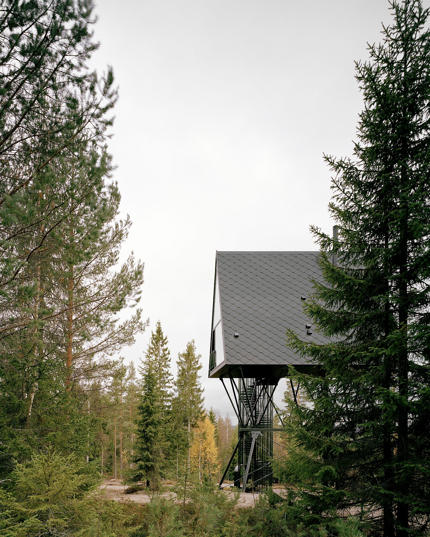 Natural greenery and serenity surround these exquisite cabins