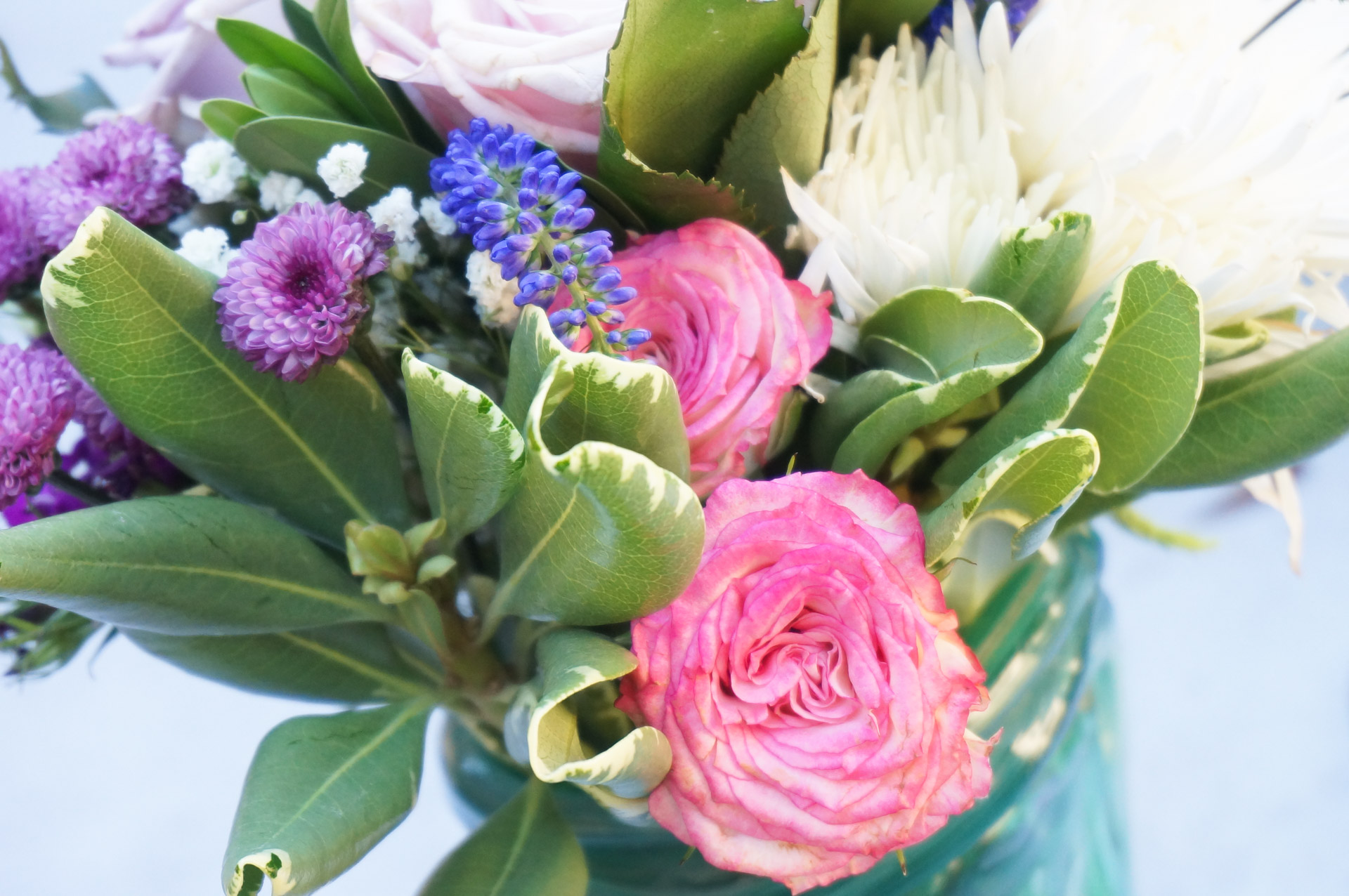 Roses in a Valentine's Day bouquet