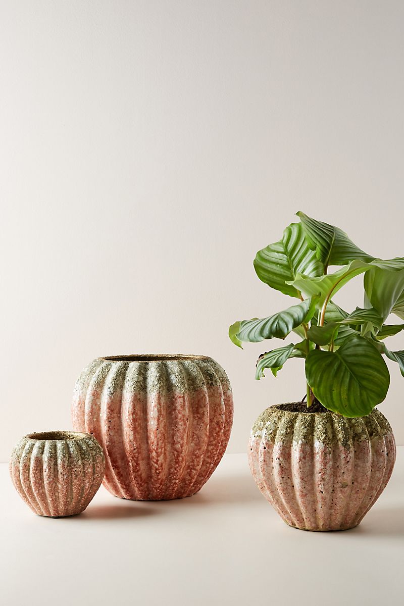 Spring-terracotta-pots-in-pink