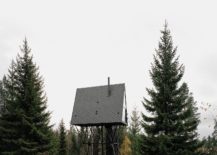 Steel-plays-a-major-role-in-shaping-the-sturdy-exterior-of-the-forest-cabin-217x155
