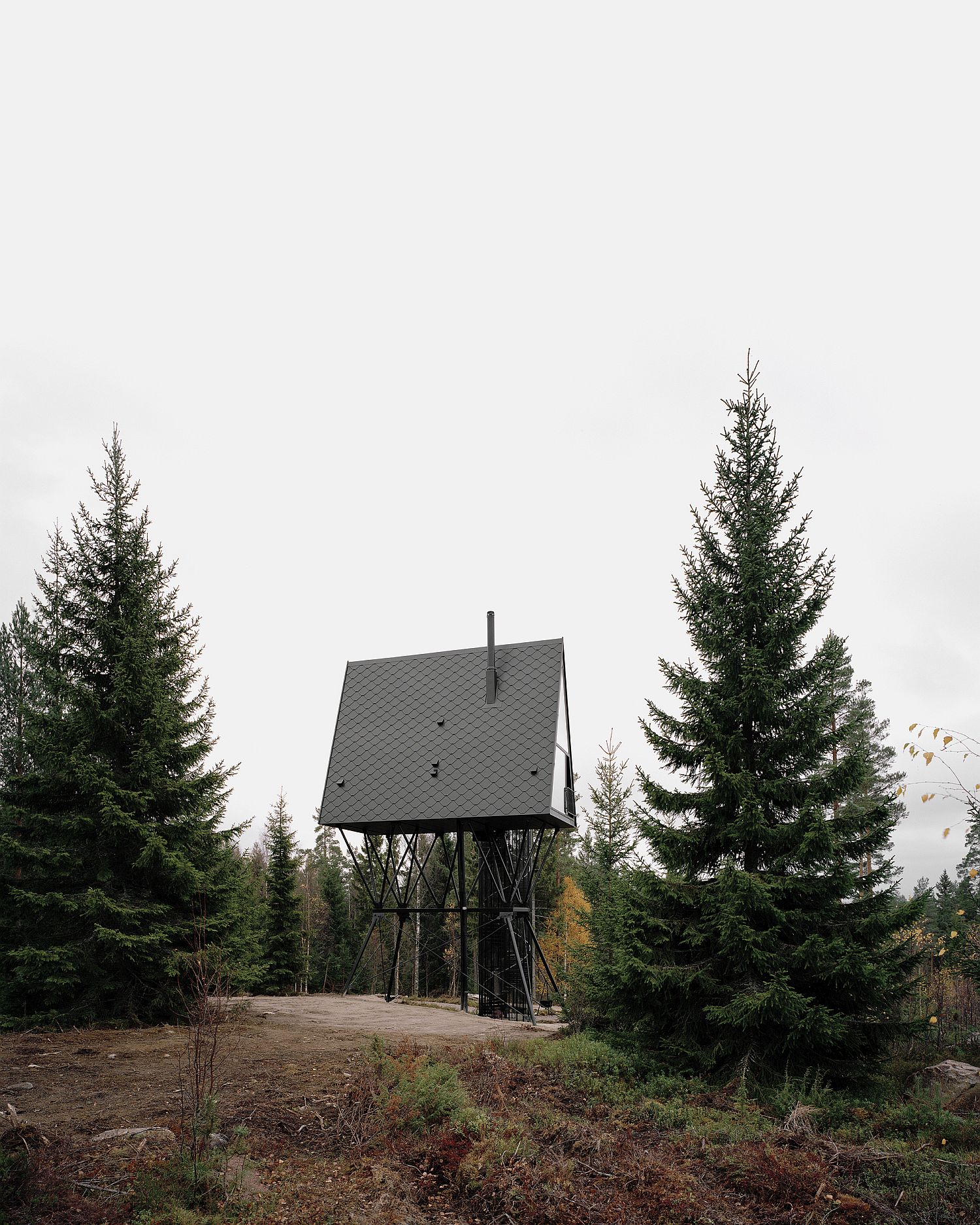Steel plays a major role in shaping the sturdy exterior of the forest cabin