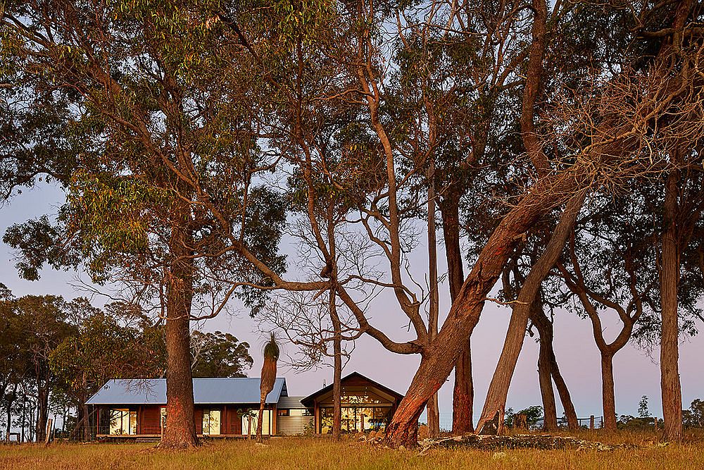 Natural bushland scenery around the farm house