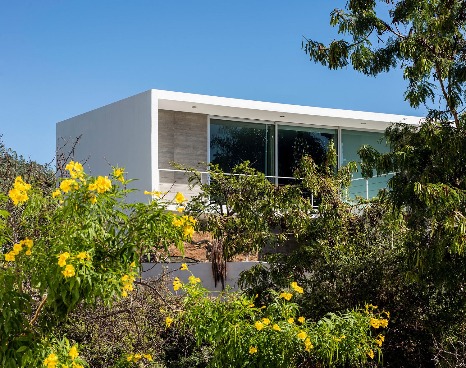 Natural canopy offers a screen of privacy for the house