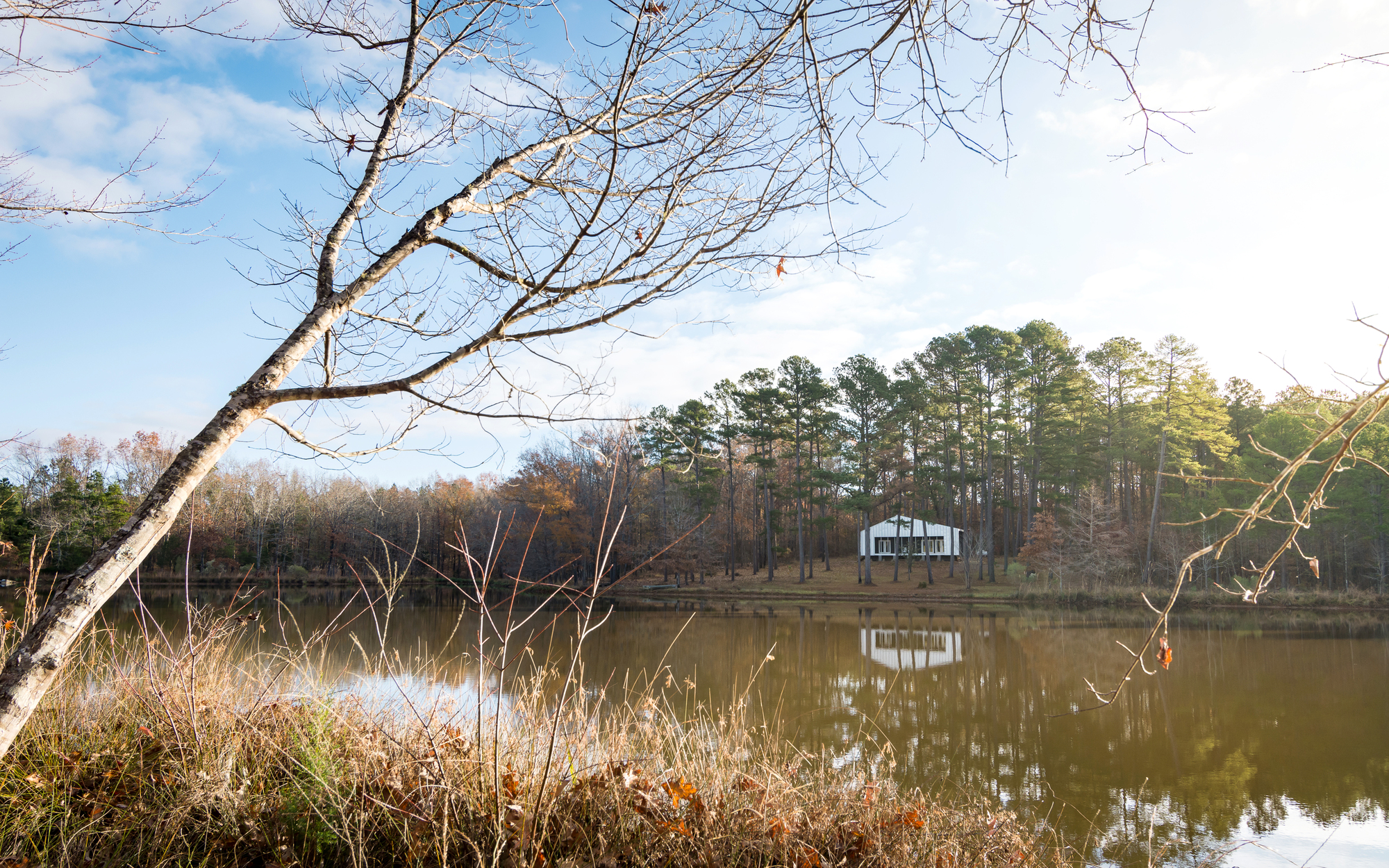 Pond next to the house adds to its charm