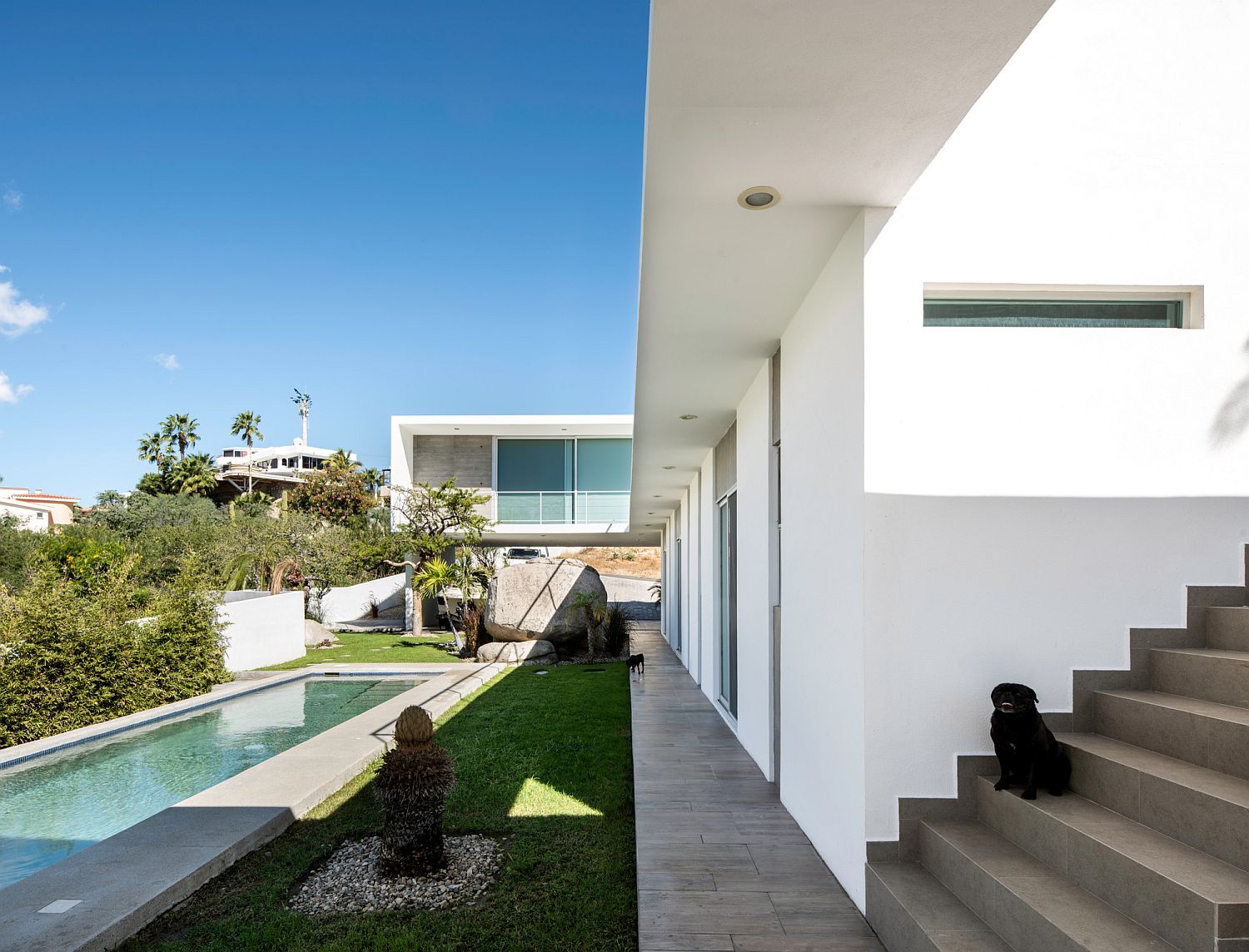 Pool area and outdoor garden of the Mexican home