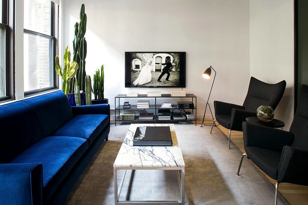 Smart-blend-on-blue-and-black-in-the-contemporary-white-living-room