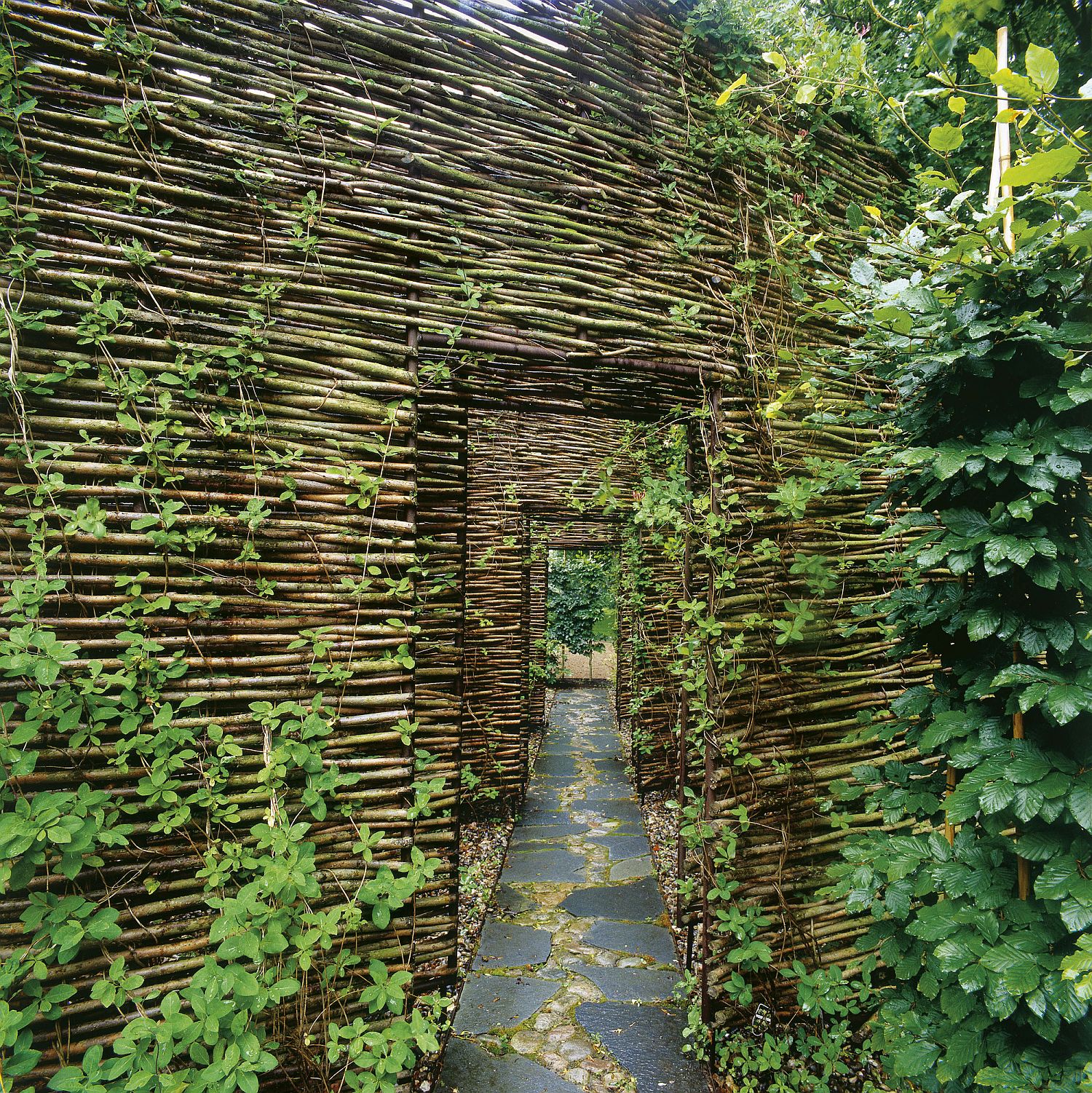 Teahouse and outdoor sauna alongw ith series of outdoor walls that add natural flair to the retreat