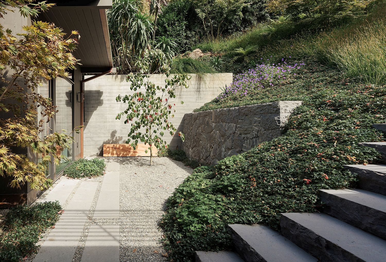 Curated-modern-garden-area-of-the-San-Francisco-Home
