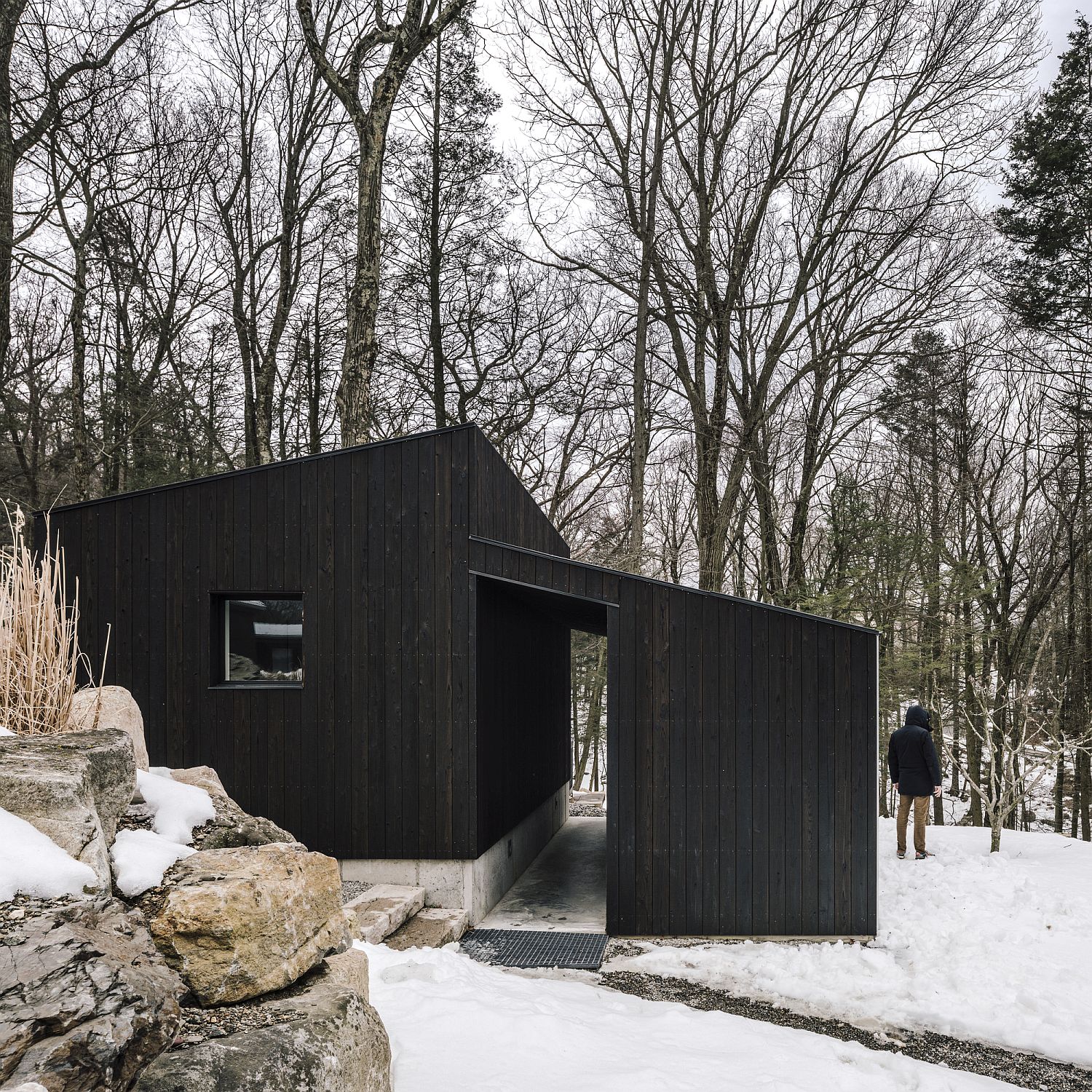 Dark wooden exterior allows the cabin to blend in with the forest backdrop