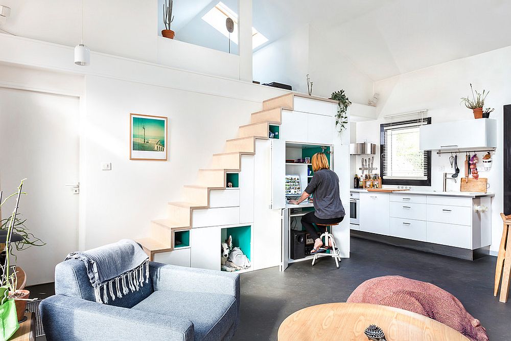 Home workspace and pet area underneath the stairway